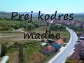 koretini
