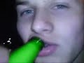 Pijane budale Pijane budale