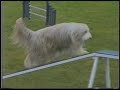 Agility Promo Agility Promo