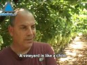 Israel is facing a crisis, a crisis that threatens to wreak havoc to the economy, agriculture and the entire population. Israel is drying up, the lack of rainfall experienced for five consecutive years should have set alarm bells ringing long before. The rate of water depletion in Lake Kinneret has reached an all time low. In July the water level dropped to a frightening 213.65 meters below sea level, threatening the water consumption in Israel, whether drinking water or water slated for agricultural use.Keren Kayemet Le'Israel- the Jewish National Fund, has made a massive impact in recent years, saving tens of thousands of dunams of agricultural produce from drying out by establishing over 200 water r