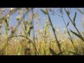 biodiversity.mov