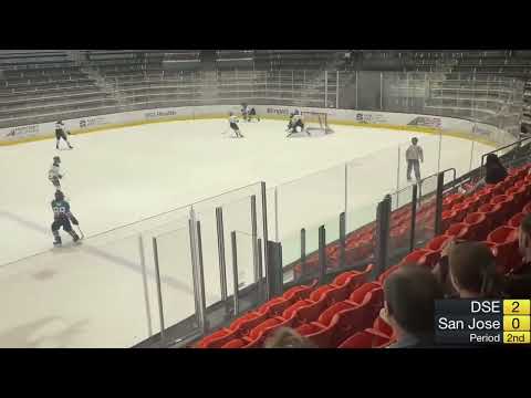 Regular Season 2024 - Dallas Stars Elite vs. San Jose Sharks