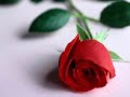 رنوووووش هيثم شاكر روحى رايحه ليه .wmv