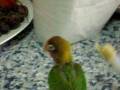 TACHA 2 COMIENDO BIENVENIDA A CASA TE ESPERABAMOS
