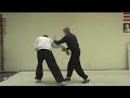 Wang Shu Jin Ba Gua Zhang: #3 