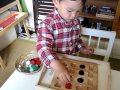 Montessori: Homeschool Pom Pom Tweezers