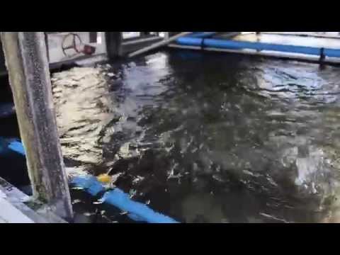 how to maintenance cooling tower