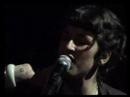 GREEN GRASS LIVE - Cibelle in NYC