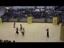 Apopka HS Winterguard 08- UHS Show