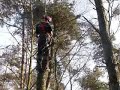 BOMEN ZAGEN