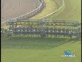 11R 第32回 エリザベス女王杯(ＧＩ)京都競馬場・１１月１１日日曜日