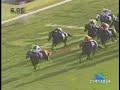 11R 第32回 エリザベス女王杯(ＧＩ)京都競馬場・１１月１１日日曜日