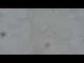Plowing Snow with Brute Force