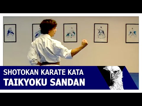 Taikyoku Sandan Shotokan Karate Kata