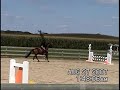 randi Aug FVSA show