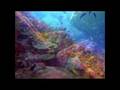 Scuba Diving in Similan Islands 4