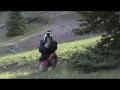  - MovieZen Video
