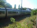 Trafic Baulois