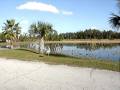 Mating Dance of the sandhill crane.wmv