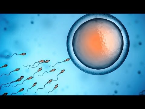 how to treat nk cells