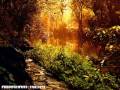 Abraham-Hicks: Before Doing It, Align With It!