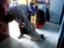 mini judoca