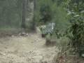 videos de Matt's 4RUNNER