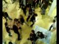 videos de MOSHINGG