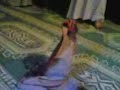 sejadah solat