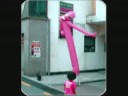 funny gifs