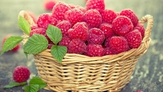 Высокоурожайные сорта малины. Высокоурожайные сорта малины.