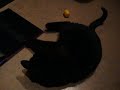 sjoko playing 1 sjoko playing 1