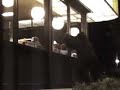 Gorilla Costume Prank Gorilla Costume Prank