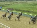 Race NINE, August 10, 2008. Dundalk Stadium Harness Racing