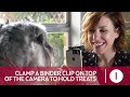 How to Take Great Pet Photos