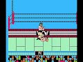 2 exhibition matches with ric steiner
