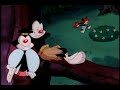 Animaniacs on A Midsummer Night\ Animaniacs on A Midsummer Night\