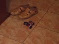 Asuro Robot avoiding obstacles Asuro Robot avoiding obstacles