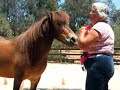 Elisabeth Haug and Tolta