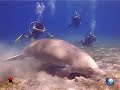 Marsa Alam - Egypte - Brayka Bay - Traveljunkies.nl