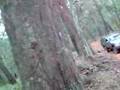 2008 Toolangi 4wding Vid 1