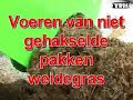 Voederbak met vijzel 'extra'