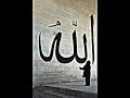 Sordum Sar? Çiçe?e Sordum Sar? Çiçe?e