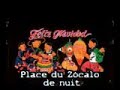 Plaza del Z�calo (M�xico DF) comentarios franceses