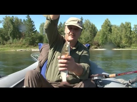 ловля хариуса на малых реках ленка ловля хариуса на малых реках ленка