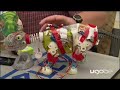 The Evolution of the Pleo Puzzle