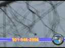 New Duck Hunt Part 2 from DVD Fowl Play 6 New Duck Hunt Part 2 from DVD Fowl Play 6