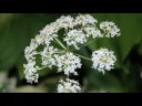 Nikon D40 Photo Shoot