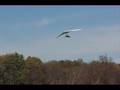 Cloud 9 Fall 2008 Litespeed Landing: