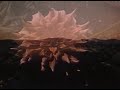 Nutrilite - From the Ground Up Part 1